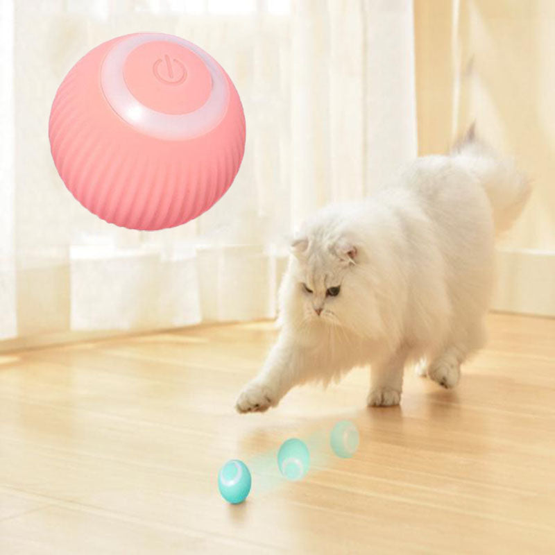 Toby's Pet Accessories  Interactive Ball